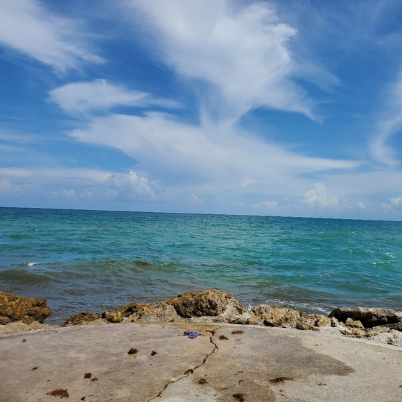 Meet your Posher, Gerry - Picture 1 of 1